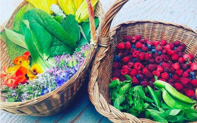 All About Ingredients